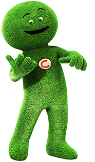 Imagine de introducere (descriere)